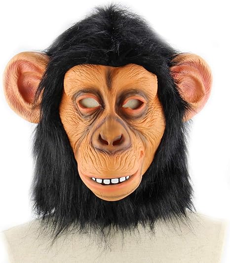 monkey with a blonde wig