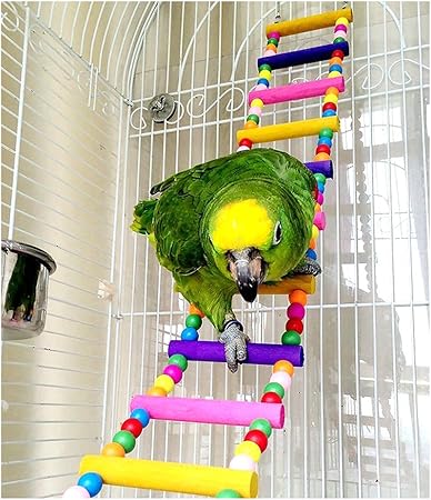 pet bird supply store