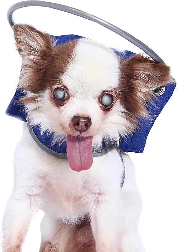 Muffin’s Halo Blind Dog Harness Guide Device Help for