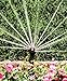 Rain Bird 12SAH High-Efficiency Mini Rotary Pop-Up Spray, 180° Half Circle Pattern, 13' - 18' Spray Distance, 4