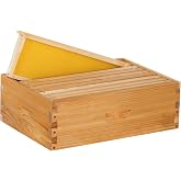 8 Frame Medium Super Box for Honey Bee Hives Beeswax Coated Langstroth Medium Bee Hive Box Includes Beehive Frames and Waxed Foundation Sheets (Unassembled)