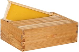 THXBEES 8 Frame Medium Super Box for Honey Bee Hives Beeswax Coated Langstroth Medium Bee Hive Box Includes Beehive Frames and Waxed Foundation Sheets (Unassembled)
