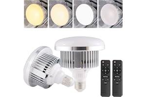 BEIYANG 2Pack 85W Photography Light Bulb for Softbox Lighting Kit Photography Soft Box Studio 6000K Bulbs LED Lighting, Remote Set