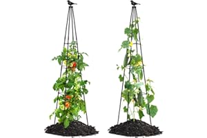 FOLLOOK Cucumber Trellis, 67" Tall Obelisk Garden Trellis for Climbing Plants Outdoor Plastic-Coated Metal Support for Flower Vine Vegetable Tomato Cage Cucumebr Trellis Raised Bed, Black, 2 Pack