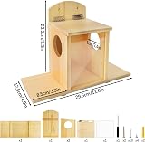 Suewidfay Squirrel Feeder with Lift-Up Lid Wooden Waterproof Durable view 4