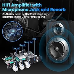ZK-1001UM Bluetooth Amp 100W Mono Amplifier Board