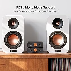 Fosi Audio ZA3 Balanced Stereo Amplifier Home Audio