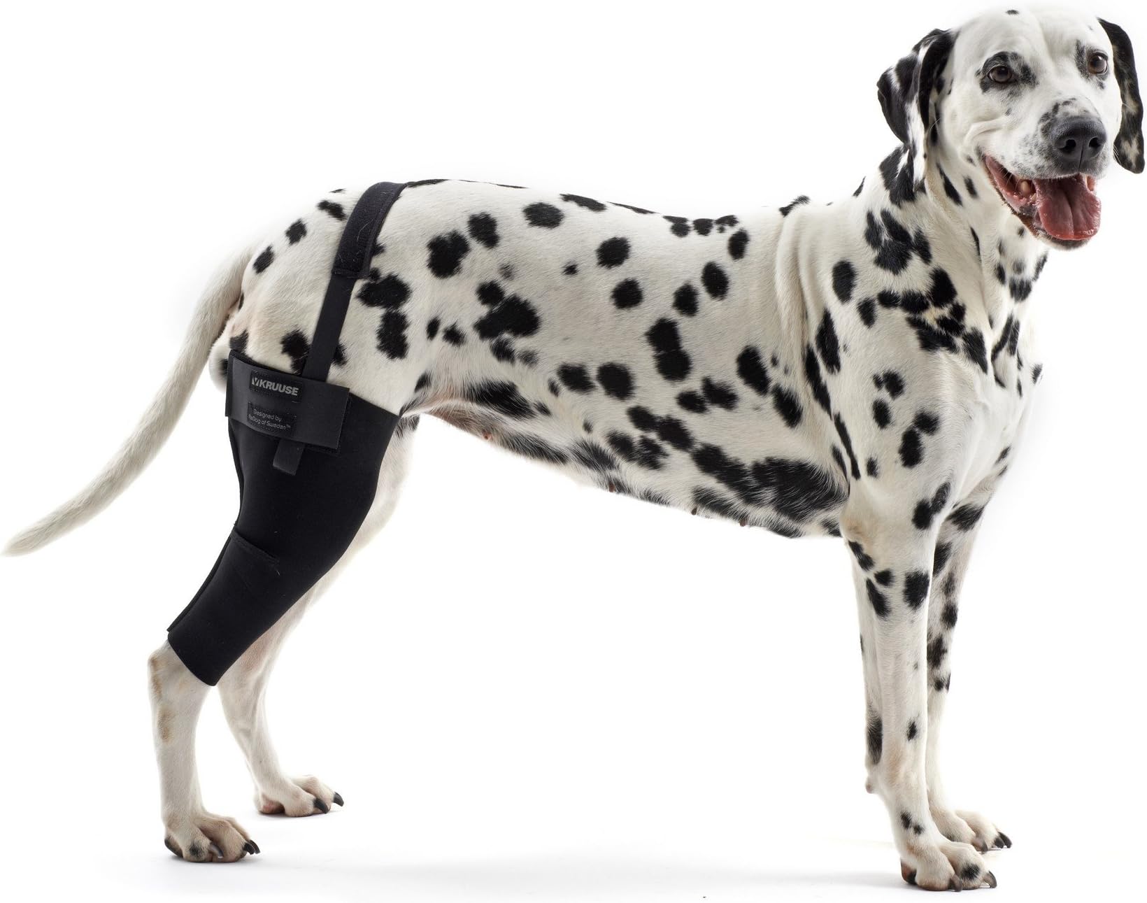 Kruuse Rehab Dog Knee Joint Protector (X-Large - Left) (Black)
