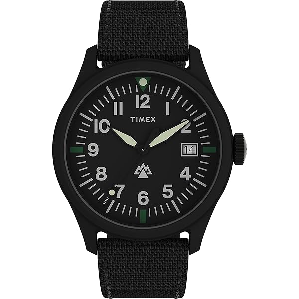 Amazon.com: Timex Men's Expedition North Traprock 43mm Watch