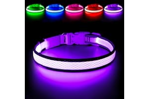 Flashseen LED Dog Collar, Light Up Dog Collar Light USB Rechargeable, Adjustable Comfortable Soft Mesh Safety Collar for Smal