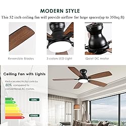 NKPU 52inch Ceiling Fans with Lights, Low Profile