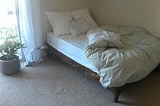 Review Image by the owls are not what they seem