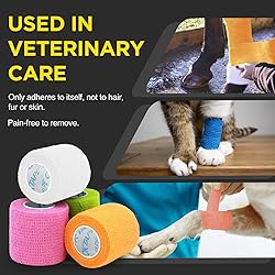 OK TAPE 12 Rolls Self Adhesive Bandage