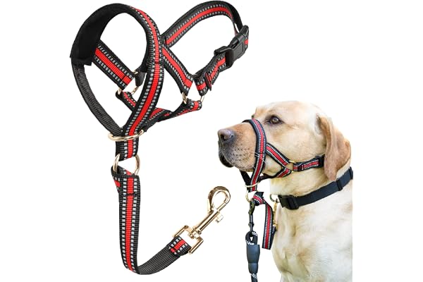 BARKLESS Muzzle Leash for Heavy Pullers, No Pull Stylish Head Halter for Large Aggressive Dogs, Gentle Dog Face Harness Stops