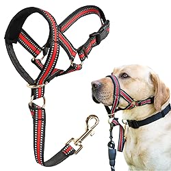 BARKLESS Muzzle Leash for Heavy Pullers, No Pull