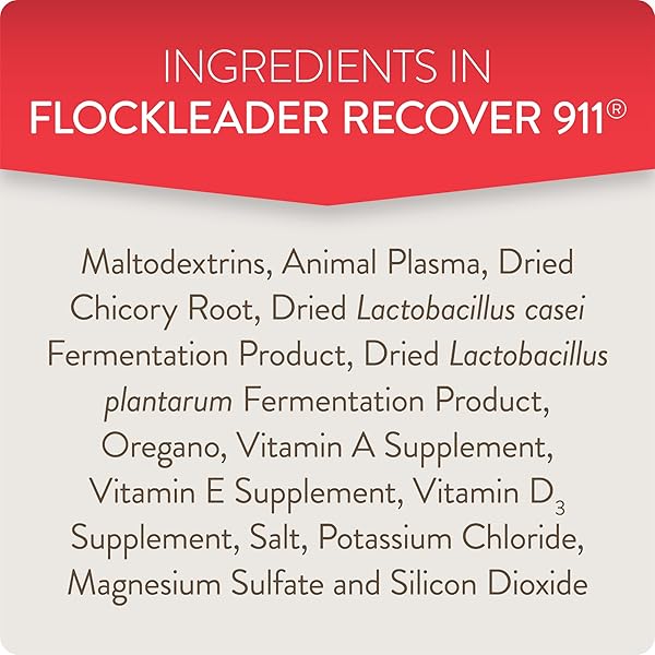 FLOCKLEADER RECOVER 911, SEVERE STRESS PROBIOTIC WATER SUPPLEMENT FOR CHICKENS WITH ELECTROLYTES, PREBIOTICS & OREGANO, MOLTING, EXTREME WEATHER, AND PREDATOR ATTACK SUPPORT, 8 OZ