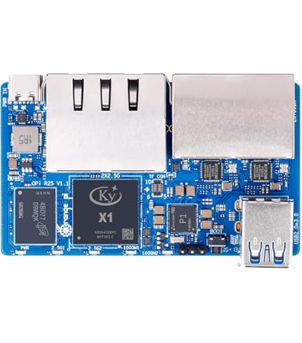 Amazon.com: Orange Pi R2S 2GB RAM LPDDR4X with 8GB eMMC Flash RISC