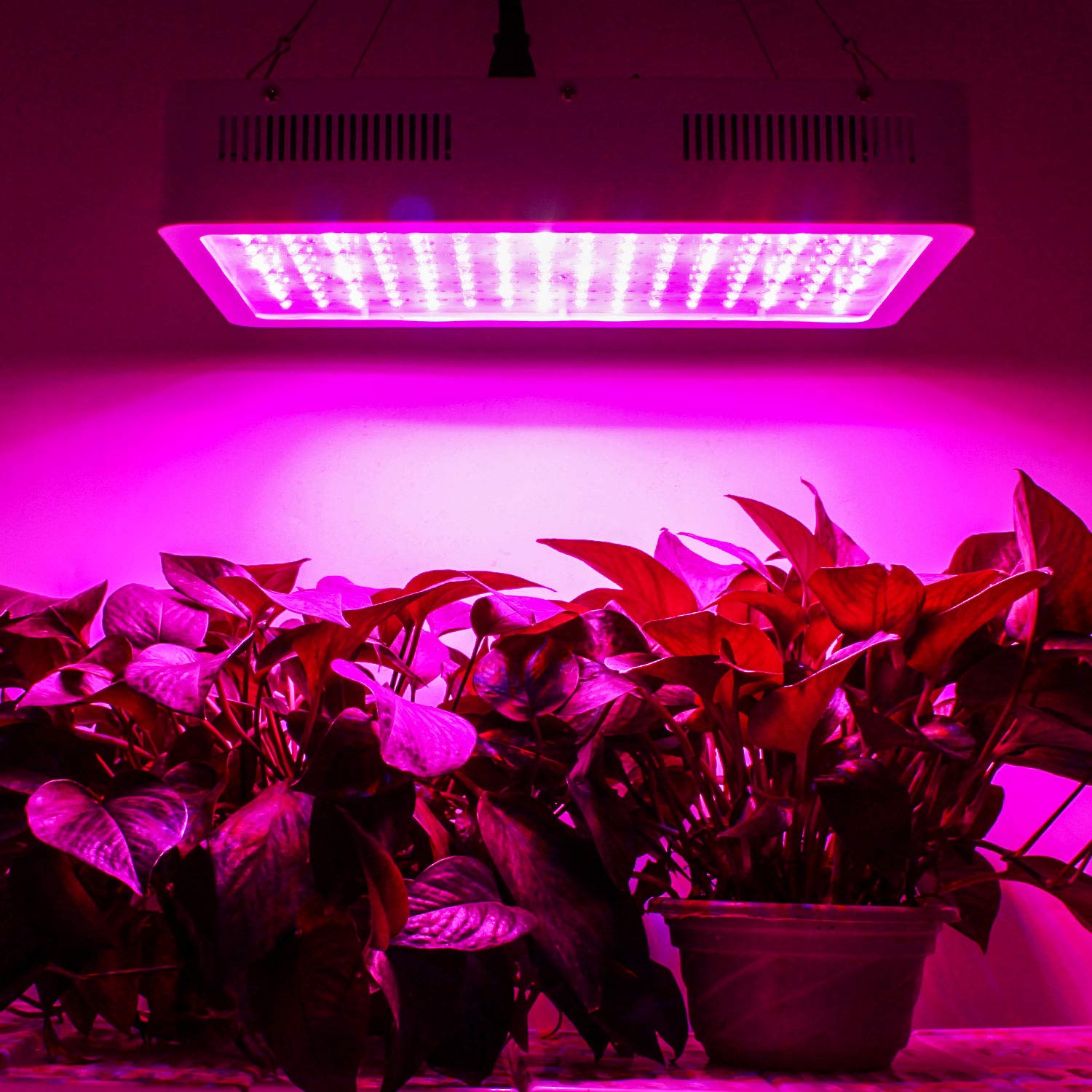 Roleadro Led Grow Light Galaxyhydro Series 1500w Indoor Plant Grow Lights Full Spectrum With Uv Ir For Veg And Flower Growing Light Fixtures Patio Lawn Garden Urbytus Com
