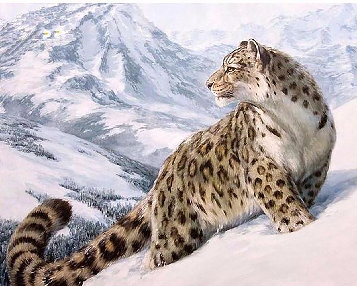 Oil painting snow leoppard natura habitat 