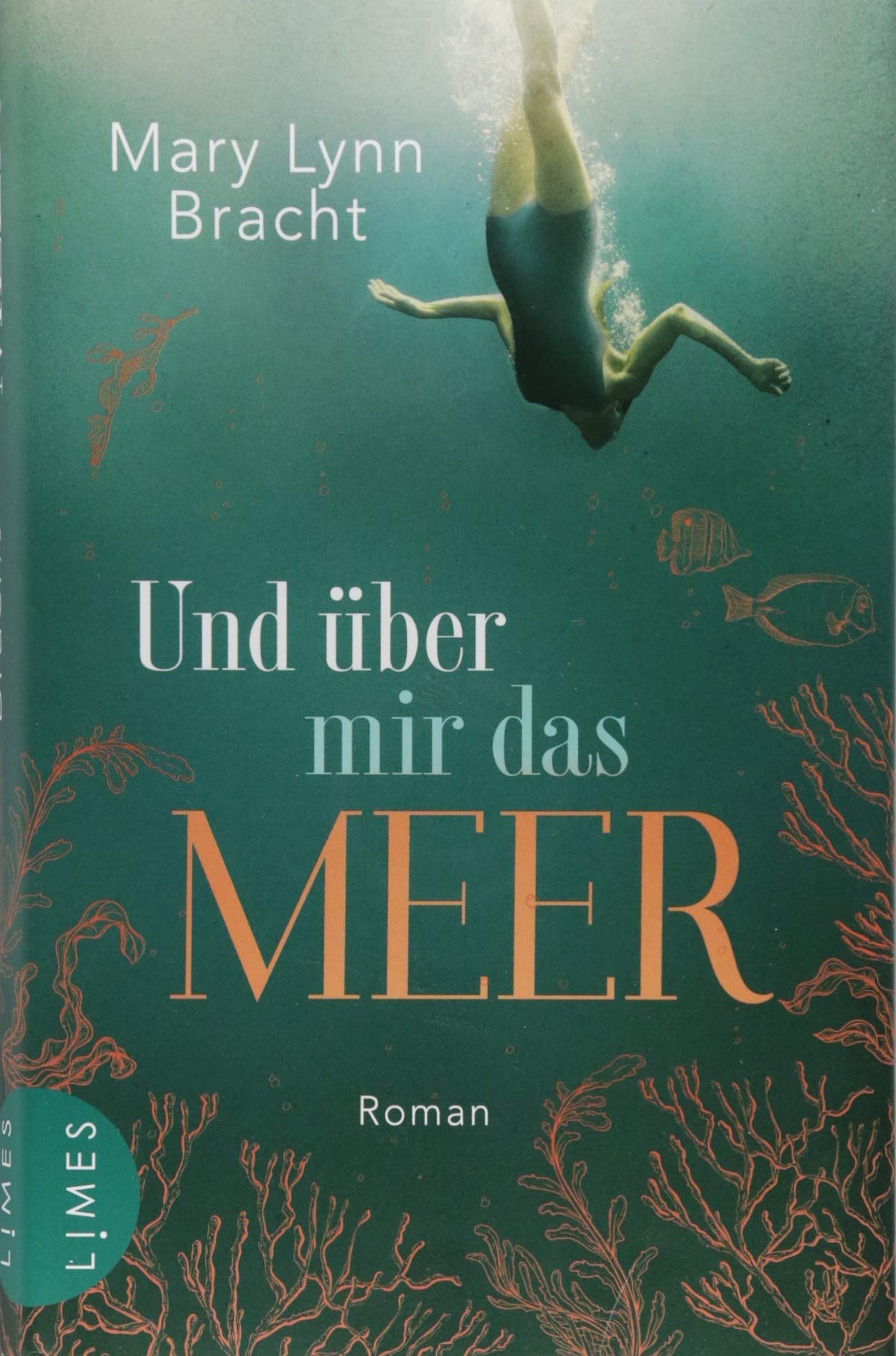 Und Uber Mir Das Meer Roman Amazon De Mary Lynn Bracht Elke