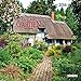 Cottage Garden (160351) (English, Spanish, French, Italian and German Edition) by