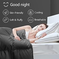 TEXARTIST Premium 2100 Series Full Comforter All