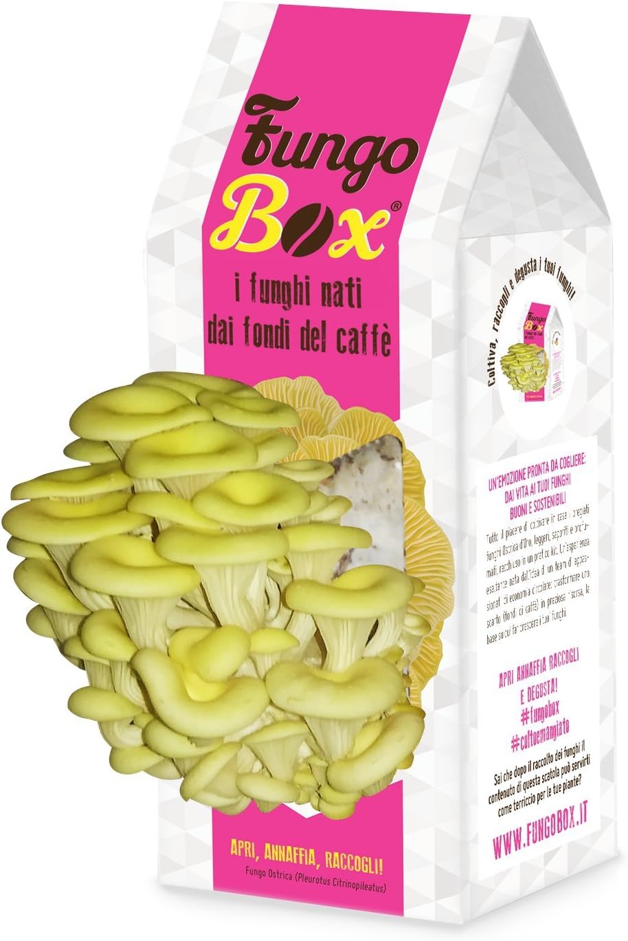 Upcycle Italia FungoBox: the Kit for Growing Homemade Mushroom Oysters good and sustainable by the Coffee Ground - for Women - Gift Idea - Mother's Day - Gifts for her - Women's Day (White and Pink)