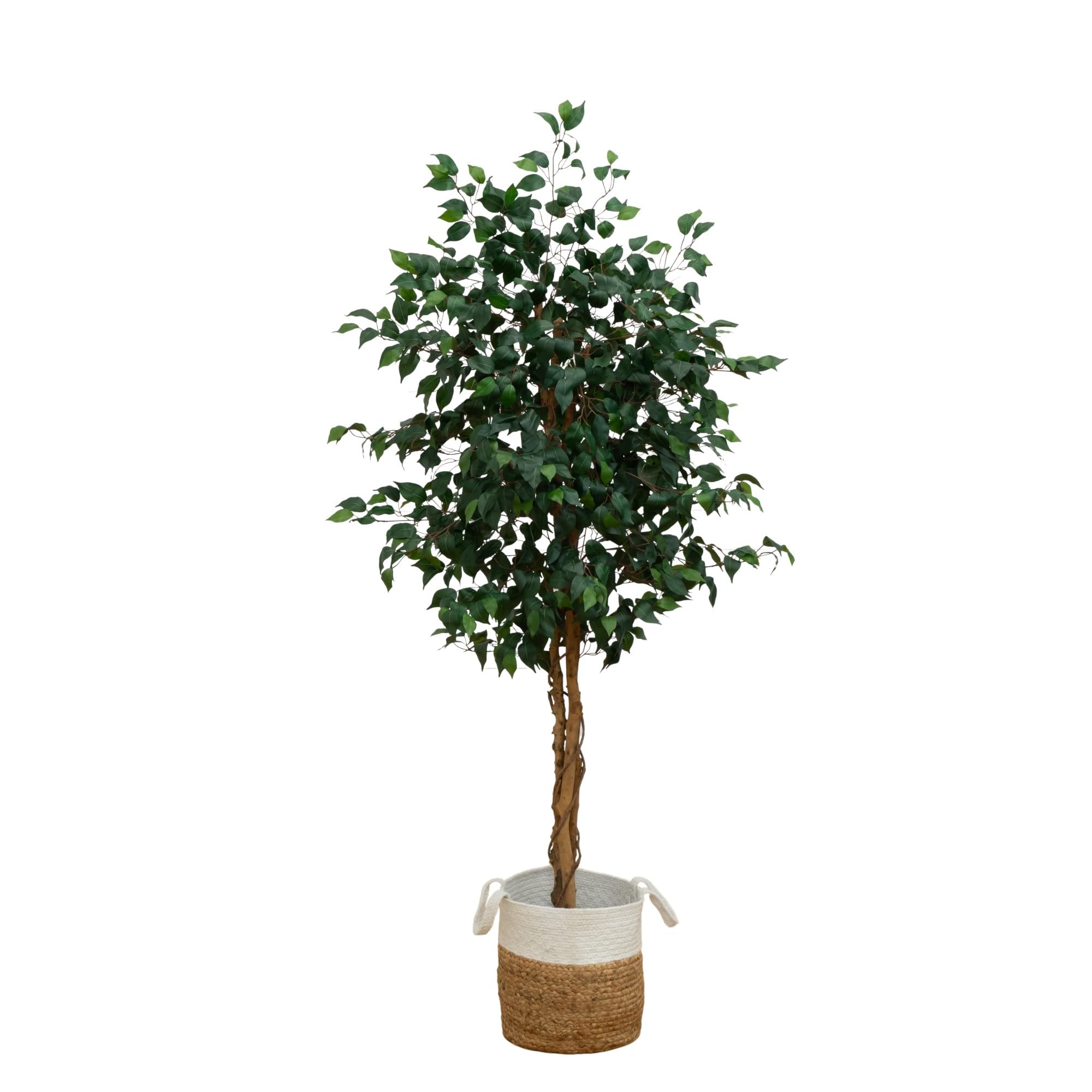 Photo 1 of Nearly Natural 6ft. Triple Trunk Ficus Artificial Tree with Natural Trunks in Handmade Natural Jute and Cotton Basket Planter