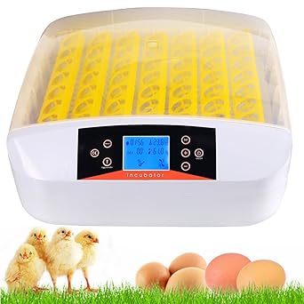 56 Eggs Digital Egg Incubator Kuppet Automatic Incubators Hatching Eggs For Chicken Ducks Goose Poultry Etc Temperature Control Ce Certified 56 Eggs