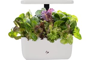 AeroGarden Harvest Lite, Indoor Garden Hydroponic System with LED Grow Light, Holds up to 6 AeroGarden Pods, Cream
