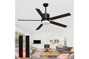 Biukis Ceiling Fans with Lights and Remote, Outdoor Ceiling Fan with Remote, Modern Fan with Lights for Patio Farmhouse Bedroom - Walnut