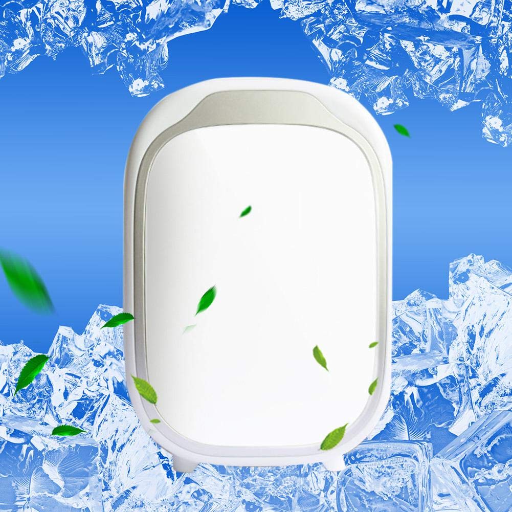 bulrusely Mini frigorífico portátil para Coche, pequeño y ...