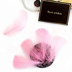300pcs Pink Feathers 2-3 Inches Bulk Feathers for