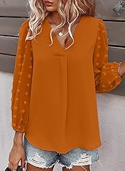 Samefar Womens Long Sleeve V Neck Cute Tops Swiss
