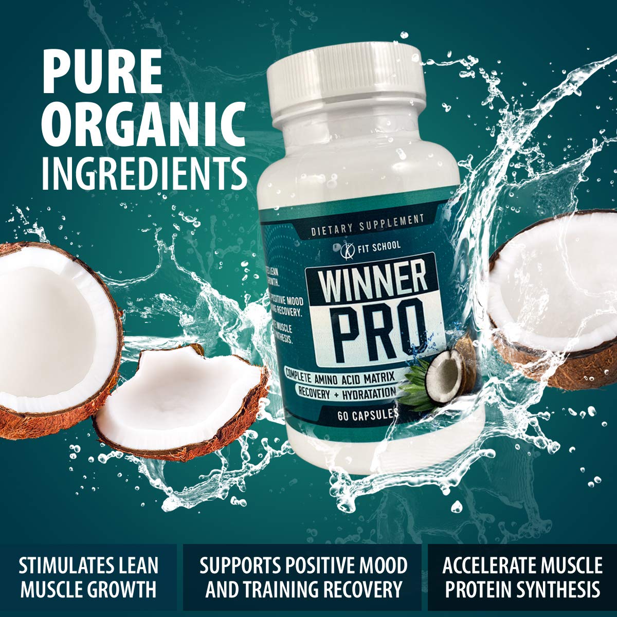 FIT SCHOOL Winner PRO