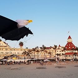 Revolution Kites 3D Eagle Quad-Line Stunt Wing 8 ft