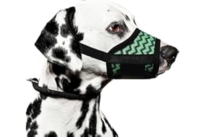 JOYPAWS Dog Muzzle, Comfortable Air Mesh Breathable Muzzle Wavy Stripe Adjustable Drinkable Loop Pattern Pets Muzzles for Medium to Large Dogs, Stop Biting Barking and Chewing for Corgi Green L