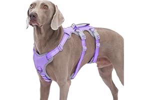 Huntboo Escape Proof Dog Harness, No Pull Reflective Harness with Lift Handle,Adjustable Pet Vest with Front and Back Leash Clips for Small Medium Large Dogs Walking Hiking Training(Lavender Purple,L)