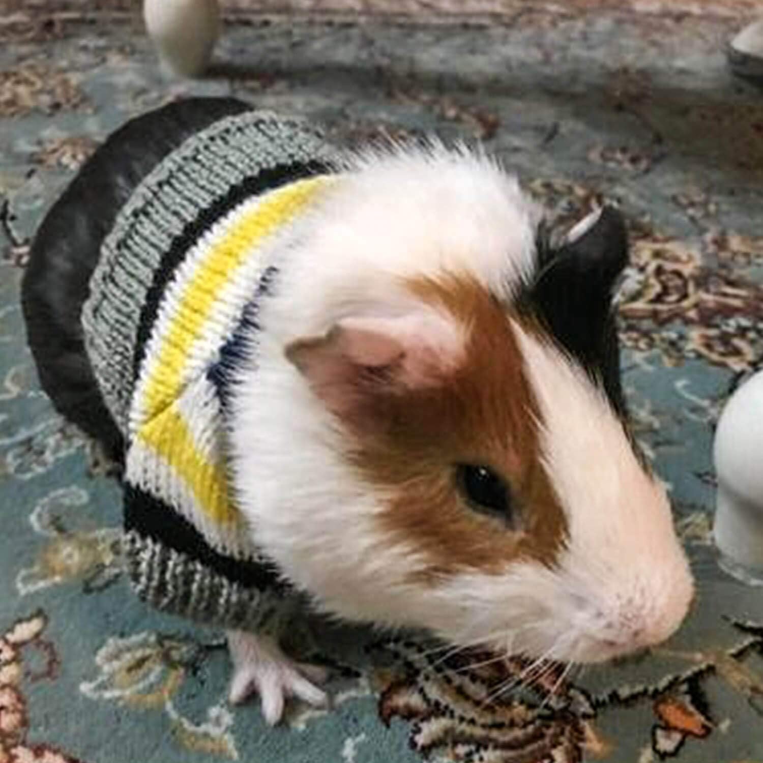 WATFOON Winter Warm Guinea Pig Bunny Sweater Wool Clothes Small Animal Chinchilla Guinea Pig Rat Rabbit Hamster Squirrel Ferret for Photo Party Festivals Costume Outfits(Stripes & Grey)