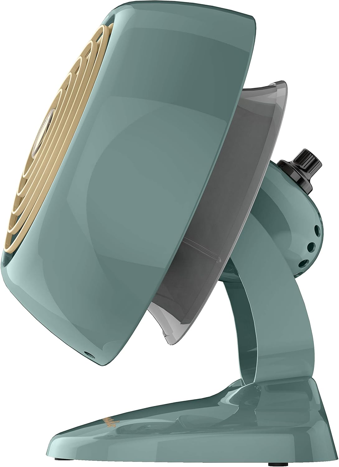 Vornado VFAN Mini Classic Personal Vintage Air Circulator Fan, Green: Home & Kitchen