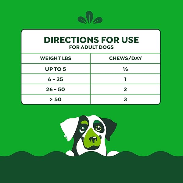 GREENIES SUPPLEMENTS DOG SKIN AND COAT SUPPLEMENTS WITH OMEGA 3 FATTY ACIDS & FISH OIL FOR DOGS, CHICKEN-FREE FORMULA, PEANUT BUTTER FLAVOR, 7.37 OZ, 40 COUNT