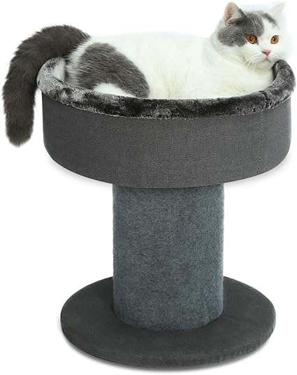 extra large covered cat bed