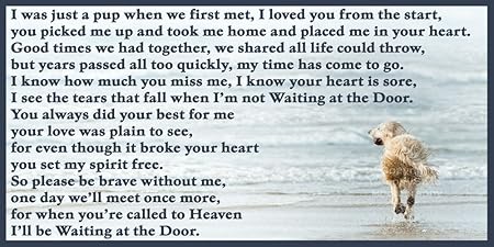 De perro Golden Retriever cachorro de duelo pérdida con ...