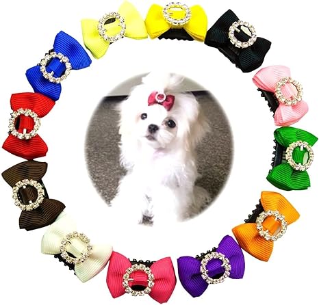 Hair accessories for small dogs Clearance