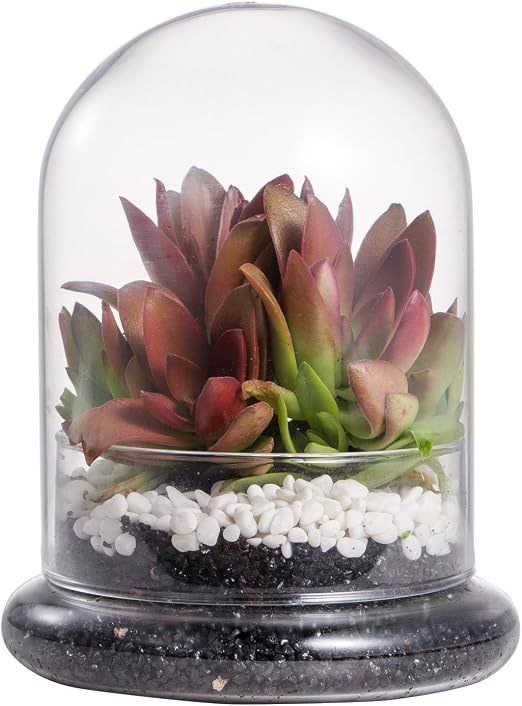 Incrizma Glassware - Imported Multipurpose Glass Container with ...