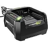Greenworks Pro 60V Ultra Power 6A Rapid Charger - Works with All Greenworks Batteries