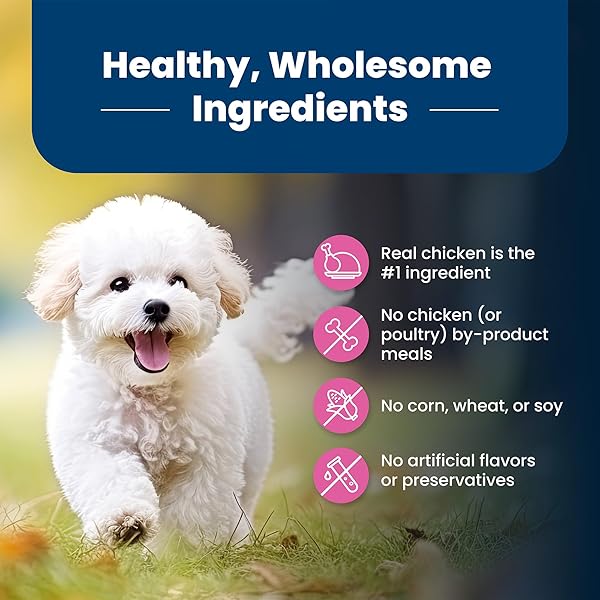 BLUE BUFFALO LIFE PROTECTION FORMULA ADULT SMALL BREED DRY DOG FOOD, SUPPORTS HIGH ENERGY NEEDS, MADE WITH NATURAL INGREDIENTS, CHICKEN & BROWN RICE RECIPE, 15-LB BAG