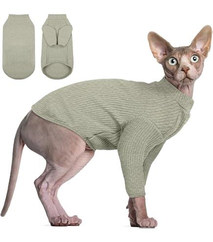 Amazon.com : Kotomoda cat wear Turtleneck Boss (S) : Pet Supplies