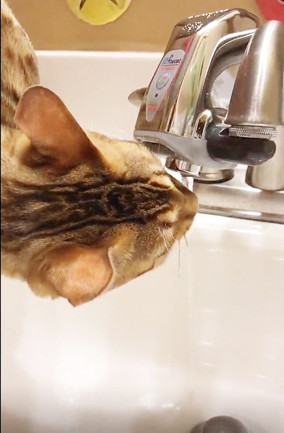 iTouchless EZF003C EZ PRO Automatic Sensor Faucet Adapter for Bathroom