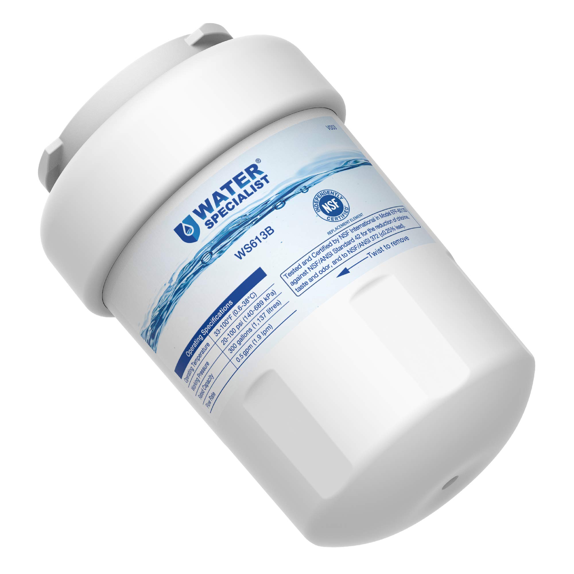 Waterspecialist Refrigerator Water Filter, Replacement for GE MWF